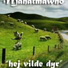 “Hej vilde dyr”