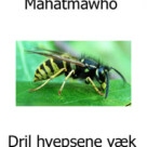 “Dril hvepsene væk”